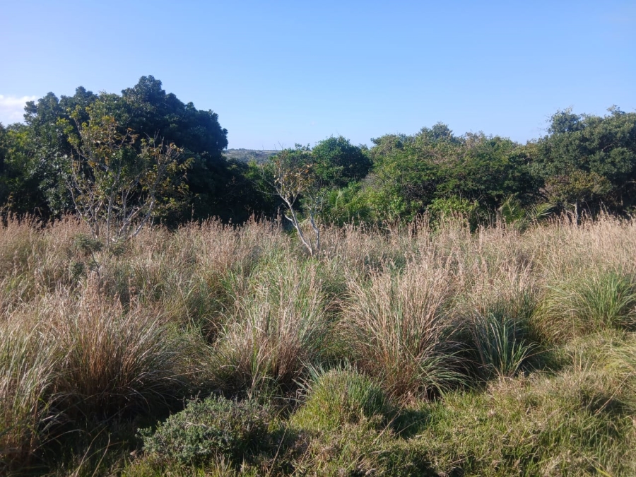 0 Bedroom Property for Sale in Morgans Bay Eastern Cape